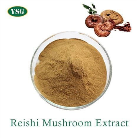 پودر عصاره قارچ Reishi