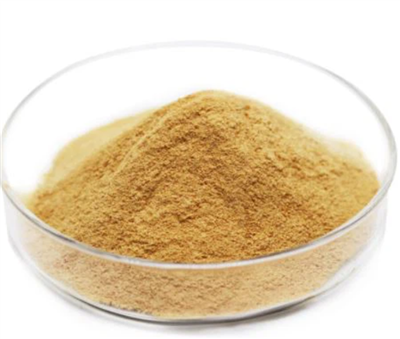عصاره اوم ژاپنی