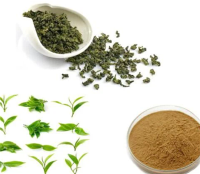 پودر چای اولانگ
